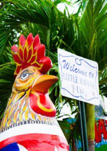 Scotch and the Fox in Little Havana, Miami, USA